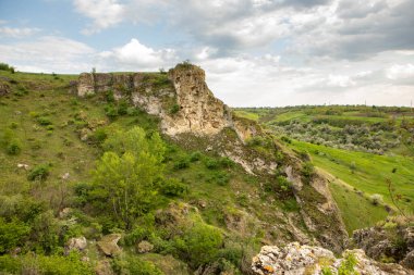 Moldova Cumhuriyeti Köy ve Tarlaları ile Yaz Manzarası. Moldova 'da Pastoral Manzara ve Huzurlu Doğa Sahnesi.