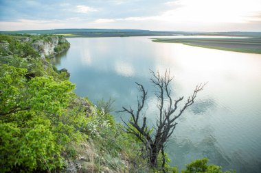 Moldova Cumhuriyeti Köy ve Tarlaları ile Yaz Manzarası. Moldova 'da Pastoral Manzara ve Huzurlu Doğa Sahnesi.