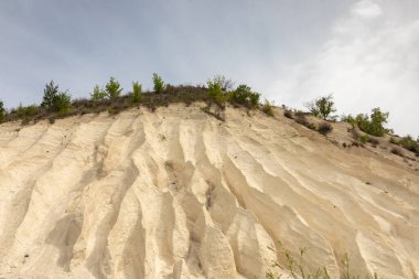 Moldova Cumhuriyeti Köy ve Tarlaları ile Yaz Manzarası. Moldova 'da Pastoral Manzara ve Huzurlu Doğa Sahnesi.