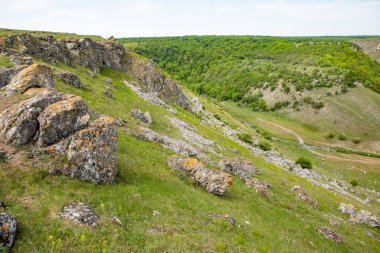 Moldova Cumhuriyeti Köy ve Tarlaları ile Yaz Manzarası. Moldova 'da Pastoral Manzara ve Huzurlu Doğa Sahnesi.