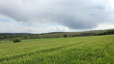 Yazın Moldova Cumhuriyeti 'nden güzel doğa manzarası. Doğu Avrupa 'da köy hayatı