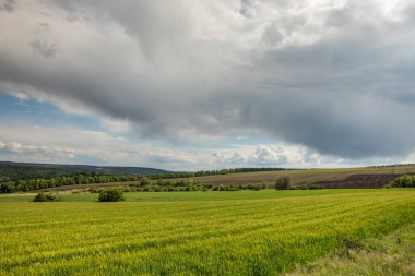 Yazın Moldova Cumhuriyeti 'nden güzel doğa manzarası. Doğu Avrupa 'da köy hayatı