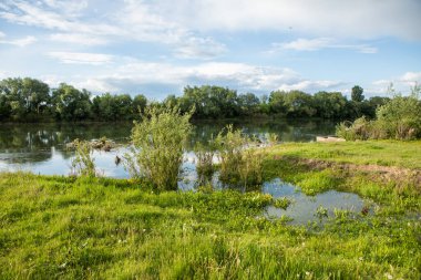 Yazın Moldova Cumhuriyeti 'nden güzel doğa manzarası. Doğu Avrupa 'da köy hayatı
