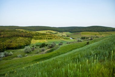 Moldova Cumhuriyeti 'nde güzel ve yeşil doğa manzarası. Moldova 'nın köylerinde inanılmaz yeşil. Yaz en güzel mevsim..