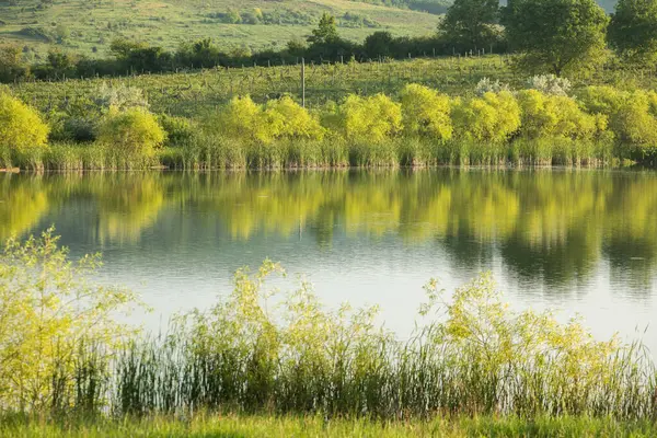 Moldova Cumhuriyeti 'nde güzel ve yeşil doğa manzarası. Moldova 'nın köylerinde inanılmaz yeşil. Yaz en güzel mevsim..