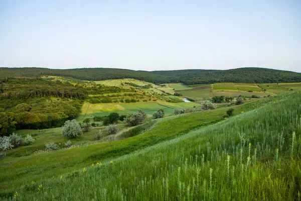 Moldova Cumhuriyeti 'nde güzel ve yeşil doğa manzarası. Moldova 'nın köylerinde inanılmaz yeşil. Yaz en güzel mevsim..
