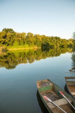 Moldova Cumhuriyeti 'nde güzel ve yeşil doğa manzarası. Yazın Moldova köylerinde inanılmaz yeşil.