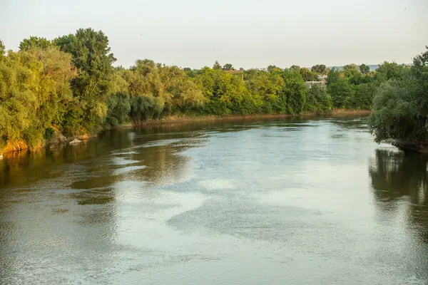 Moldova Cumhuriyeti 'nde güzel ve yeşil doğa manzarası. Yazın Moldova köylerinde inanılmaz yeşil.