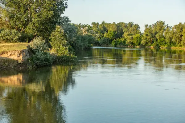 Moldova Cumhuriyeti 'nde güzel ve yeşil doğa manzarası. Yazın Moldova köylerinde inanılmaz yeşil.