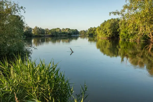 Moldova Cumhuriyeti 'nde güzel ve yeşil doğa manzarası. Yazın Moldova köylerinde inanılmaz yeşil.