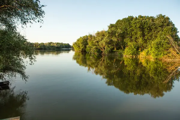 Moldova Cumhuriyeti 'nde güzel ve yeşil doğa manzarası. Yazın Moldova köylerinde inanılmaz yeşil.