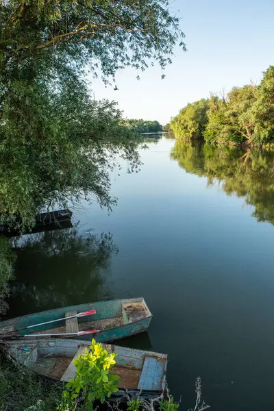 Moldova Cumhuriyeti 'nde güzel ve yeşil doğa manzarası. Yazın Moldova köylerinde inanılmaz yeşil.