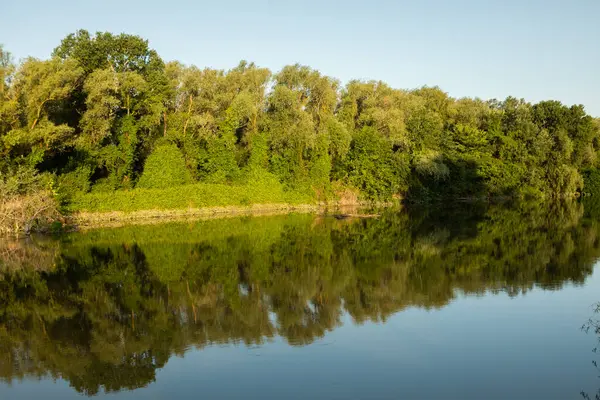 Moldova Cumhuriyeti 'nde güzel ve yeşil doğa manzarası. Yazın Moldova köylerinde inanılmaz yeşil.