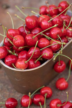 Bahçedeki bir kasede ağaçtan taze koparılmış kırmızı kirazlar.