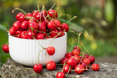 Bahçedeki bir kasede ağaçtan taze koparılmış kırmızı kirazlar.