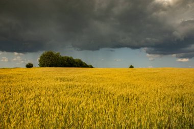 Prut Nehri ve sarp kayalıklarıyla Moldova Cumhuriyeti 'nin kuzeyindeki güzel doğal manzara.