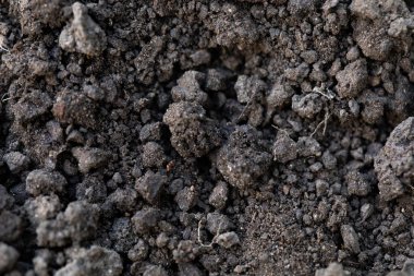 Koyu, zengin toprak dokusuna yakın çekim, bahçıvanlık ve tarım için ideal..