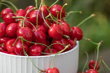 Bahçedeki bir kasede ağaçtan taze koparılmış kırmızı kirazlar.