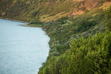 Moldova Cumhuriyeti 'nde güzel ve yeşil doğa manzarası. Yazın Moldova köylerinde inanılmaz yeşil.