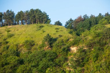Moldova Cumhuriyeti 'nde güzel ve yeşil doğa manzarası. Yazın Moldova köylerinde inanılmaz yeşil.