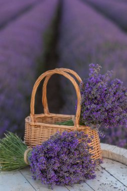 Lavanta tarlasında lavanta çiçekleriyle dolu bir sepet. 
