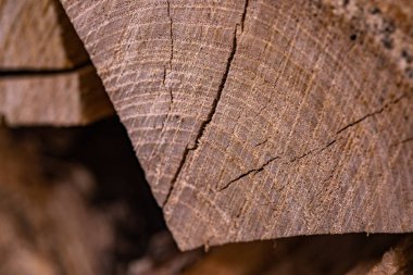 Kırık odun yığını, yakılmaya hazır. Yıpranmış ahşap döşemeler, düğümler ve taneler..