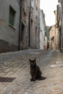 Ortaçağ İtalyan şehri Serra San Quirico 'nun dar sokaklarının fotoğrafı.