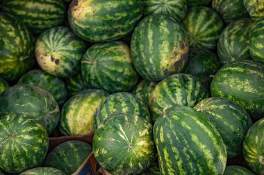 Çiftçi pazarındaki karpuzlar. Seçici odaklanma. Doğa.