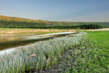 Moldova Cumhuriyeti 'nde yeşil doğayla güzel bir yaz manzarası, Doğu Avrupa' da kırsal turizm. Moldova 'daki doğal park.