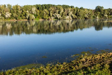 Moldova Cumhuriyeti 'nde yeşil doğayla güzel bir yaz manzarası, Doğu Avrupa' da kırsal turizm. Moldova 'daki doğal park.