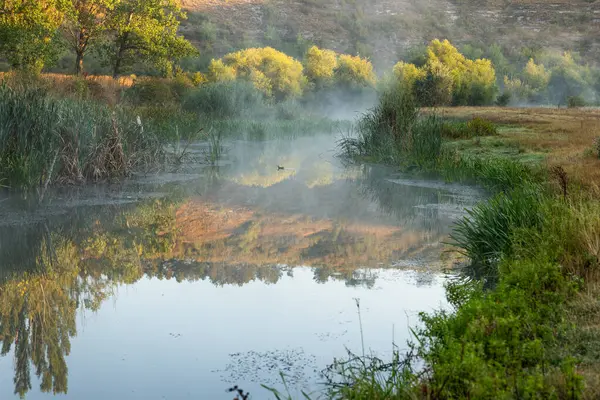 Moldova Cumhuriyeti 'nde yeşil doğayla güzel bir yaz manzarası, Doğu Avrupa' da kırsal turizm. Moldova 'daki doğal park.