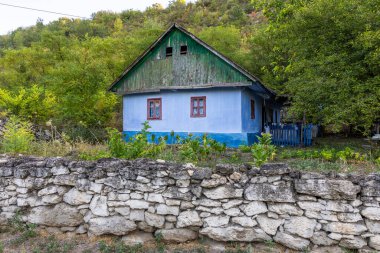 Moldova Cumhuriyeti 'nde yeşil doğayla güzel bir yaz manzarası, Doğu Avrupa' da kırsal turizm. Moldova 'daki doğal park.