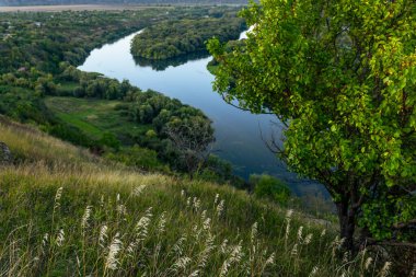 Moldova Cumhuriyeti 'nin Manzarası Sabah Sisi, Puslu Kırsal Görüş