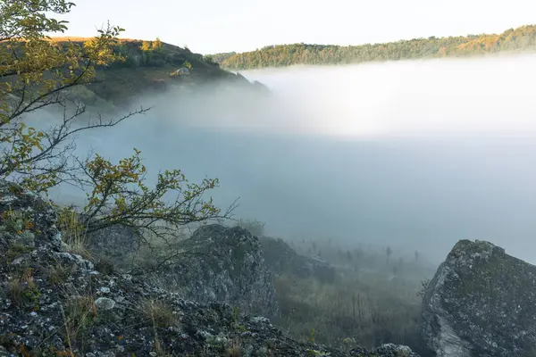 Moldova Cumhuriyeti 'nin Manzarası Sabah Sisi, Puslu Kırsal Görüş