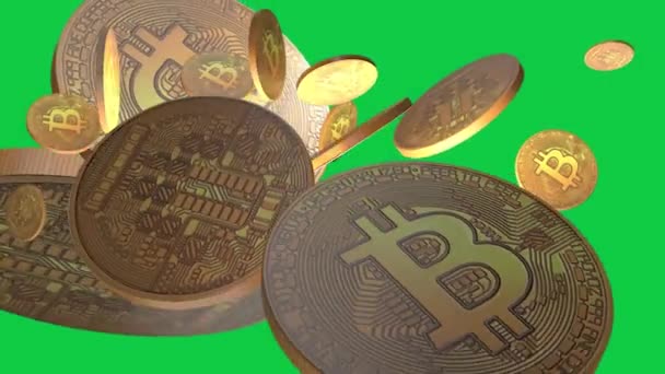 Bitcoin Crypto Moneda Oro Bitcoin Btc Bit Coin Caída Bucle — Vídeo de stock