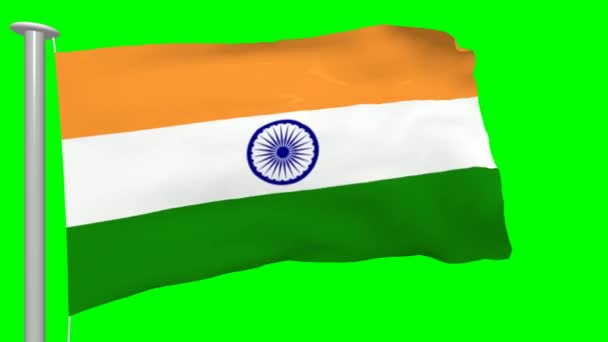 Drapeau Indien Agitant Animation Écran Vert Concept Août Fête Indépendance — Video