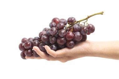 El ele tutuşmuş taze organik kırmızı üzümler beyaz arka planda izole edilmiş lezzetli meyveler.