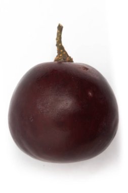 Taze organik kırmızı üzümlere yakın plan beyaz arka planda izole edilmiş bir dalla lezzetli meyveler.