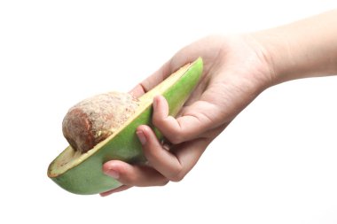 El ele tutuşmalar ve taze organik avokado arkaplanda izole edilmiş tohumlu lezzetli meyveler.