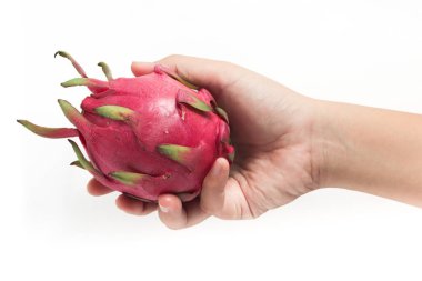 El ele tutuşmuş taze bir organik kırmızı ejderha meyvesi beyaz arka planda izole edilmiş lezzetli meyve kesme yolu