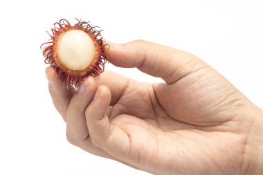 El ele tutuşarak taze organik rambutan lezzetli meyveler beyaz arka plan kırpma yolunda izole edilmiş.