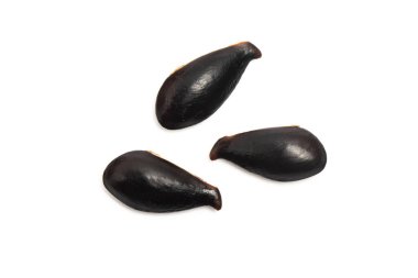 Üç taze organik sapodilla tohumu beyaz arka planda izole edilmiş lezzetli meyveler.