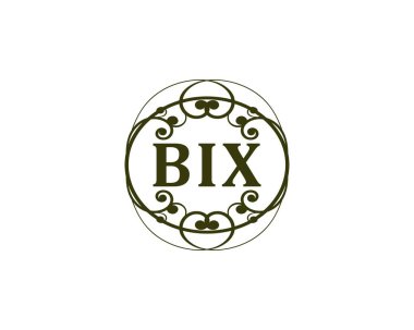 BIX logo tasarım vektör şablonu. BIX