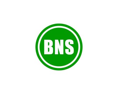 BNS logo tasarım vektör şablonu. BNS