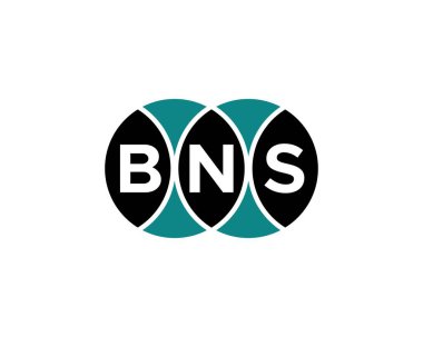BNS logo tasarım vektör şablonu. BNS