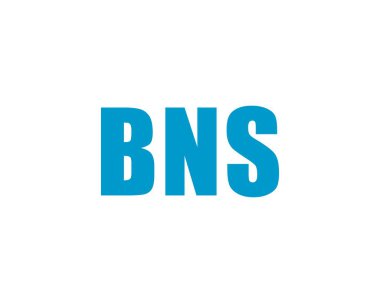 BNS logo tasarım vektör şablonu. BNS