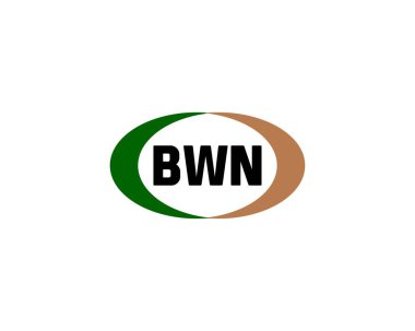 BWN Logo tasarım vektör şablonu. BWN