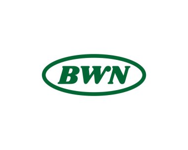 BWN Logo tasarım vektör şablonu. BWN