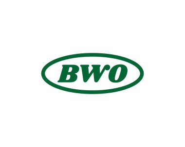 BWO logo tasarım vektör şablonu. BWO