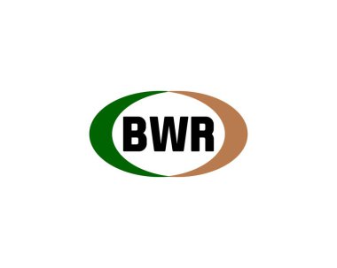BWR logo tasarım vektör şablonu. BWR